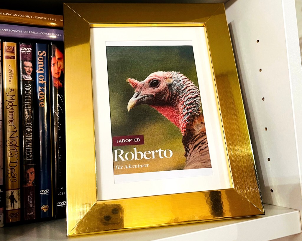 A framed adoption certificate for a turkey named Roberto, displayed on a shelf with DVDs in the background.