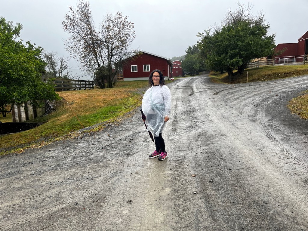 A person wearing a clear rain poncho stands on a gravel road on a rainy day, with red barns and trees in the background at Farm Sanctuary.