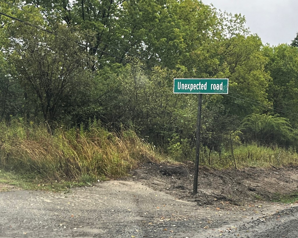 A green sign reads 'Unexpected road' beside an overgrown path surrounded by trees and tall grass.