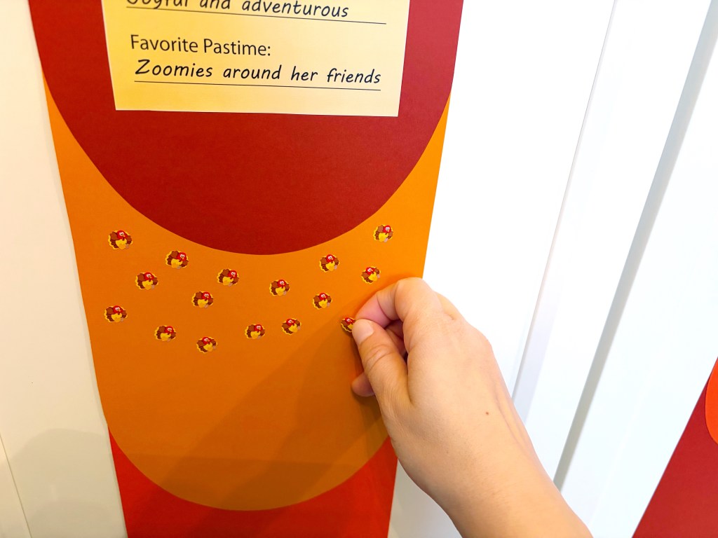 A person placing a sticker on an orange and red display board decorated with turkey illustrations, alongside information about the turkey's personality.